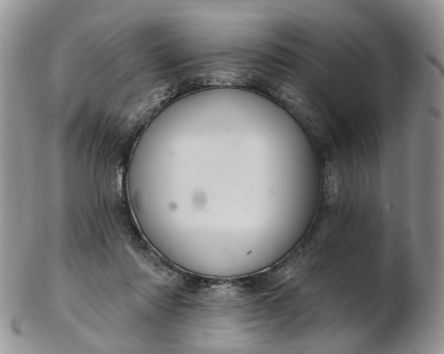 X0000103170310200809051727