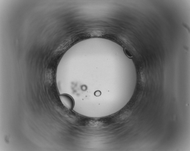 X0000103170311200809051727