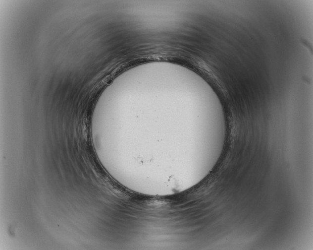 X0000103170313200809051727