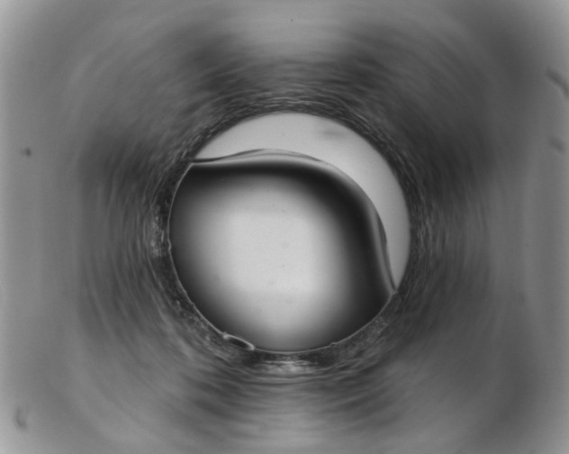 X0000103170316200809051727