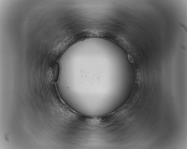 X0000103170318200809051727