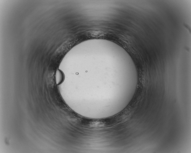 X0000103170319200809051727