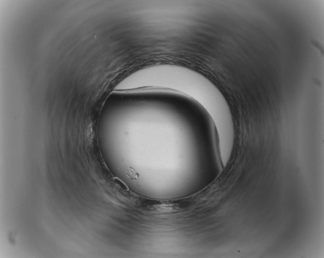 X0000103170320200809051727