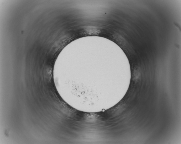 X0000103170321200809051727