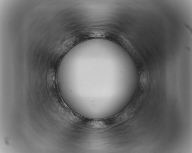 X0000103170322200809051727