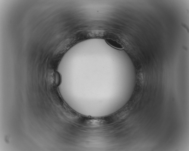 X0000103170323200809051727