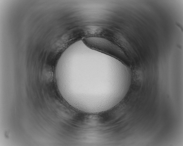 X0000103170324200809051727