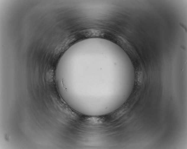 X0000103170326200809051727