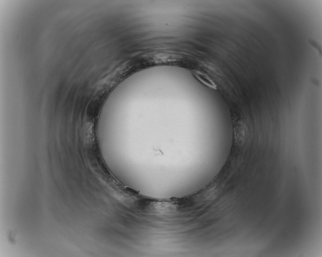 X0000103170327200809051727