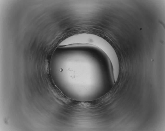 X0000103170328200809051727