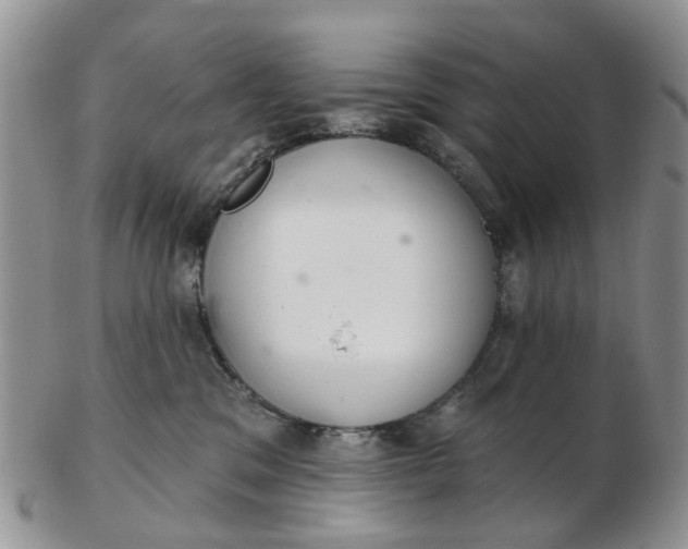 X0000103170329200809051727