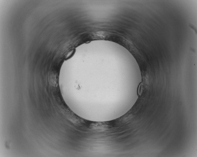 X0000103170331200809051727