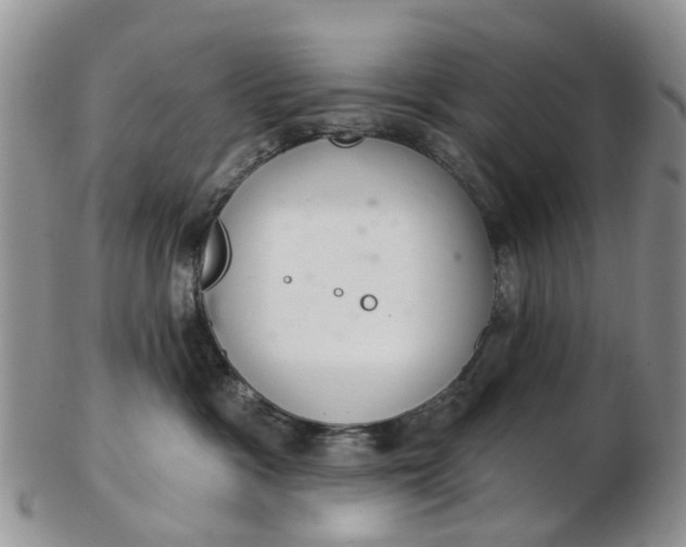 X0000103170333200809051727