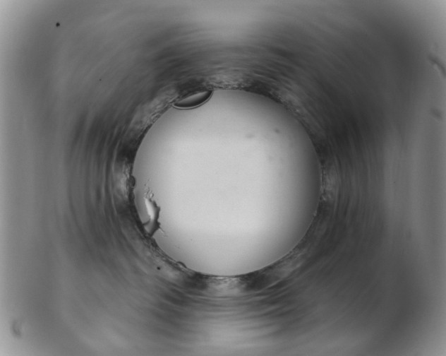 X0000103170334200809051727