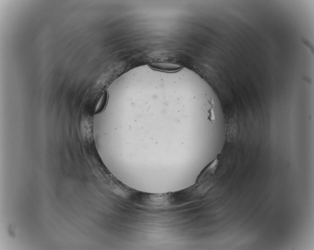 X0000103170335200809051727