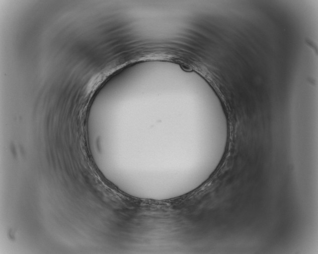 X0000103170337200809051726