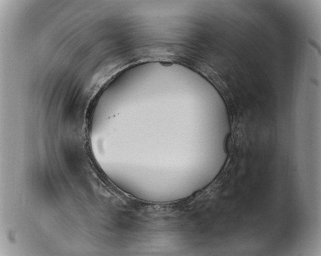 X0000103170338200809051726