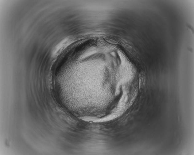 X0000103170339200809051726