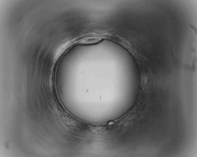 X0000103170340200809051726