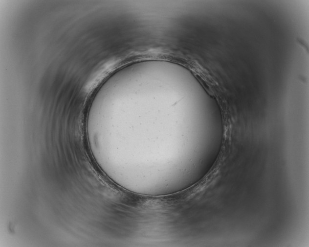 X0000103170341200809051726