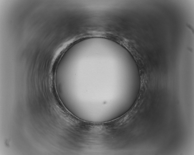 X0000103170342200809051726