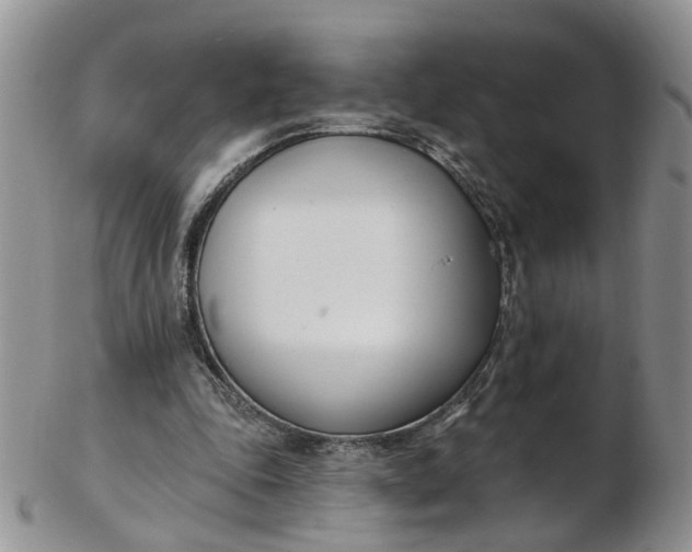 X0000103170343200809051726