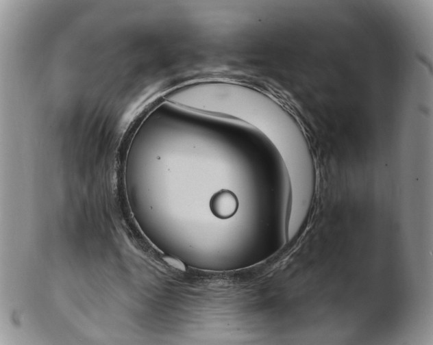 X0000103170344200809051726