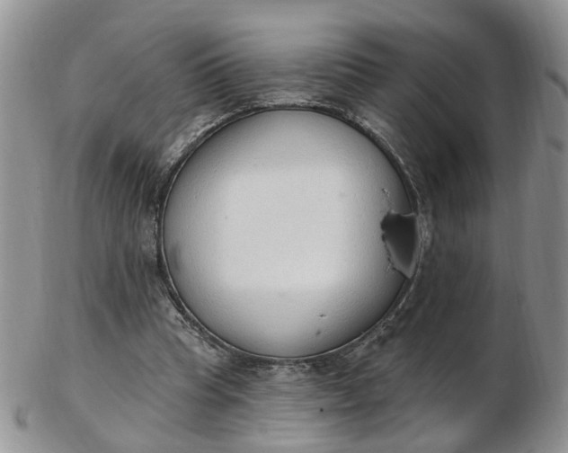 X0000103170345200809051726