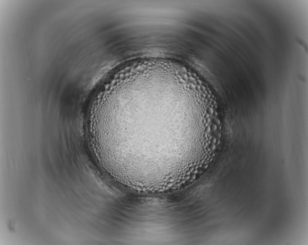 X0000103170347200809051726