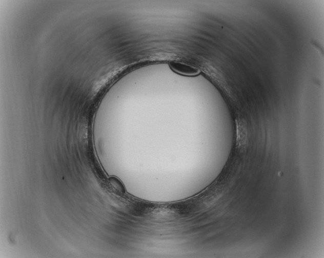 X0000103170348200809051726