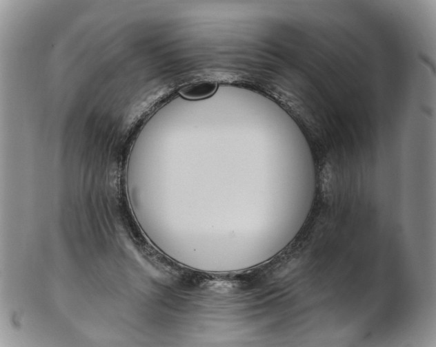 X0000103170352200809051727