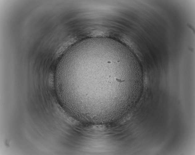 X0000103170353200809051727