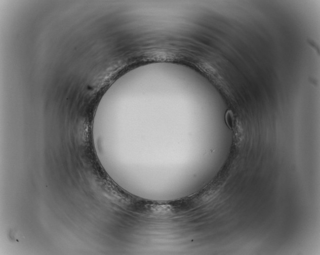 X0000103170355200809051727