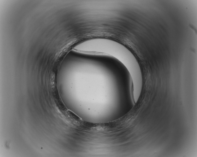 X0000103170356200809051727