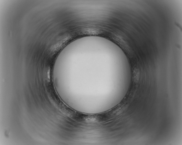 X0000103170358200809051727