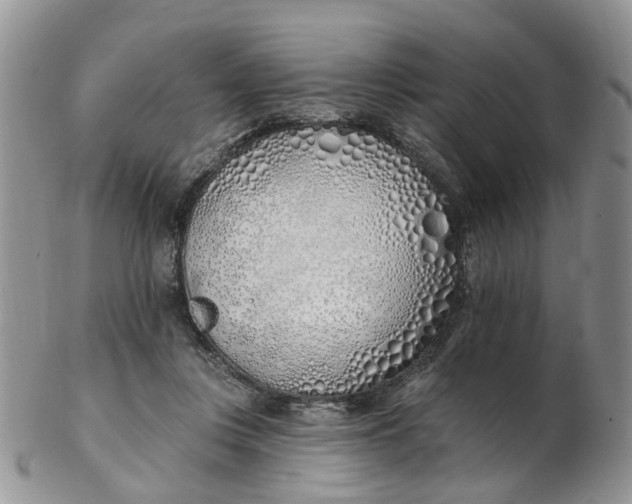 X0000103170359200809051727