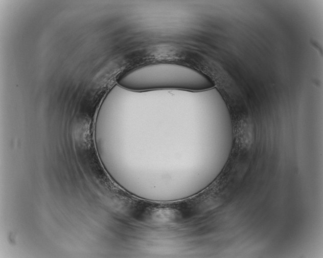 X0000103170360200809051727