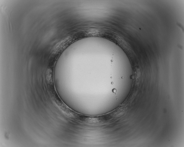 X0000103170361200809051727