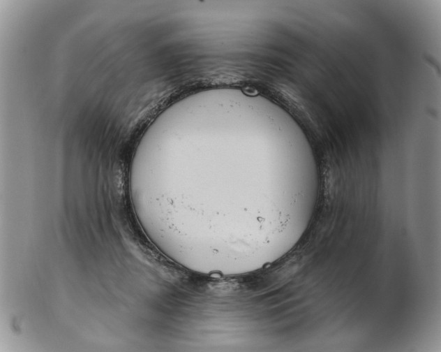 X0000103170362200809051727