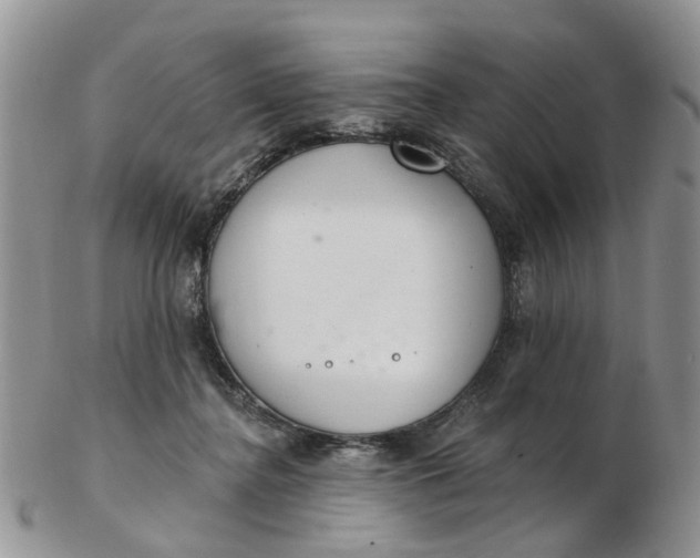 X0000103170364200809051727