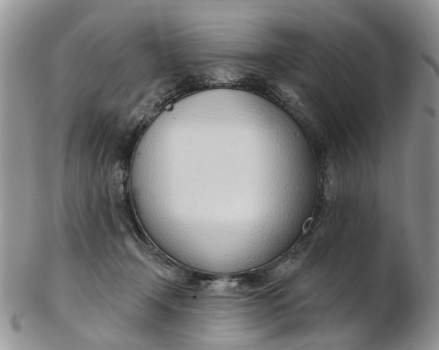 X0000103170366200809051727