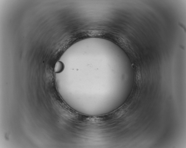 X0000103170367200809051727