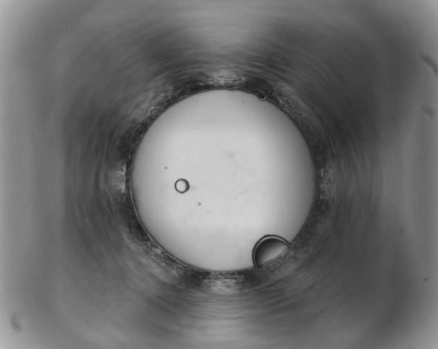 X0000103170368200809051727