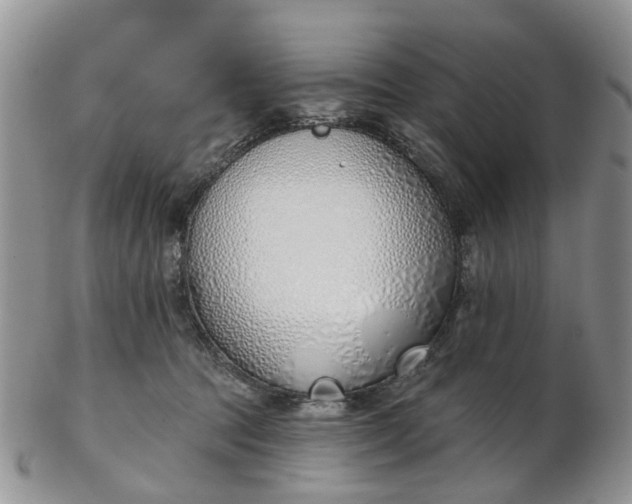 X0000103170369200809051727