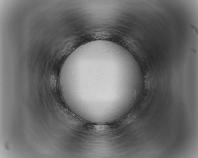 X0000103170371200809051727