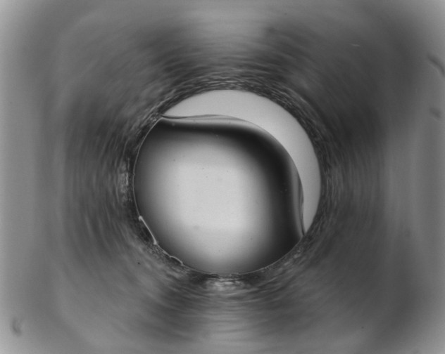 X0000103170372200809051727