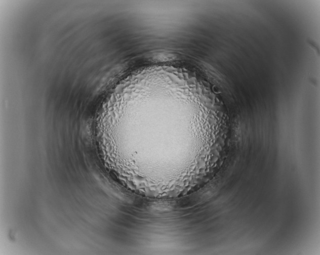 X0000103170373200809051727