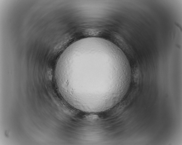 X0000103170374200809051727