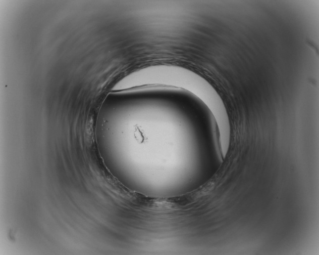 X0000103170376200809051727