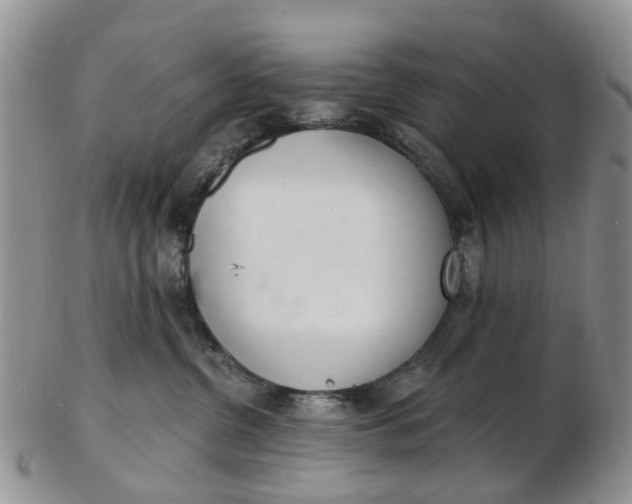 X0000103170380200809051727